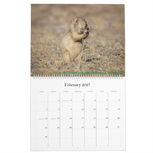natuur 2021 kalender (Feb 2027)