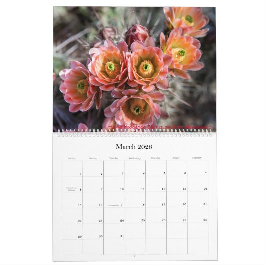 natuur 2021 kalender (Mar 2026)