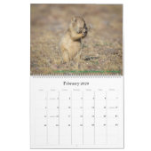 natuur 2021 kalender (Feb 2026)