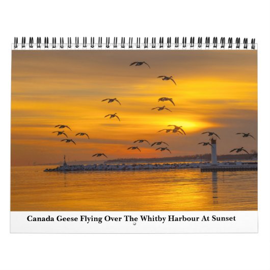 Natuur 2023 kalender (Hoes)