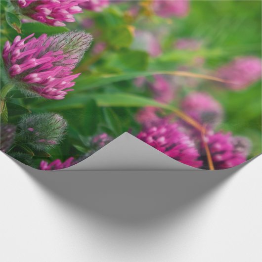 NATUUR 2 CADEAUPAPIER (Hoek)