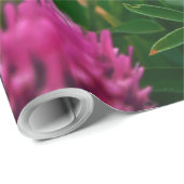 NATUUR 2 CADEAUPAPIER (Rol Hoek)