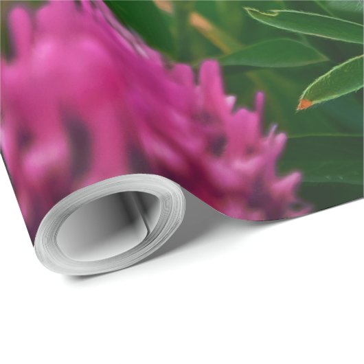 NATUUR 2 CADEAUPAPIER (Rol Hoek)