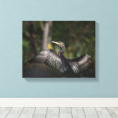 Natuur aalscholver Foto Canvas Afdruk (Insitu (Houten vloer))