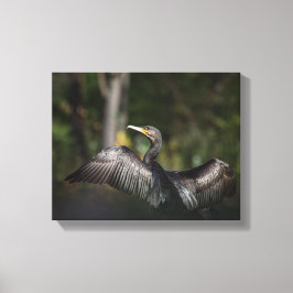 Natuur aalscholver Foto Canvas Afdruk