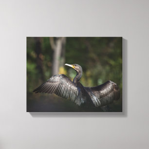 Natuur aalscholver Foto Canvas Afdruk