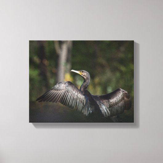 Natuur aalscholver Foto Canvas Afdruk (Voorkant)