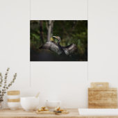 Natuur aalscholver Foto Poster (Keuken)