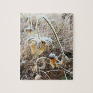 Natuur aangeraakt Rudbeckia bekleed in ochtendvors Legpuzzel