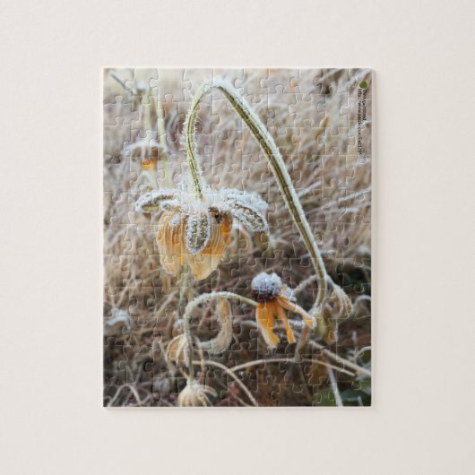 Natuur aangeraakt Rudbeckia bekleed in ochtendvors Legpuzzel (Verticaal)