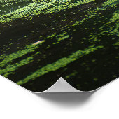 Natuur aardrijkskundige tijger in waterfotografie poster (Hoek)