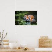 Natuur aardrijkskundige tijger in waterfotografie poster (Keuken)