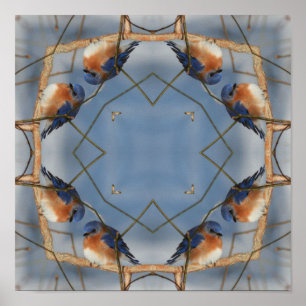 Natuur Abstracte Kaleidoscoop kunst Poster