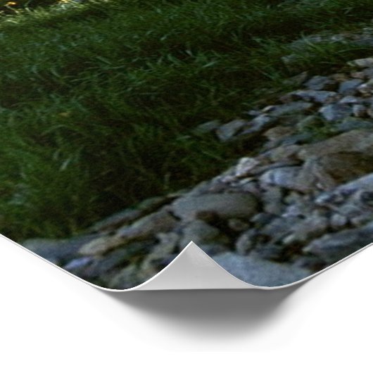 Natuur activeren poster (Hoek)