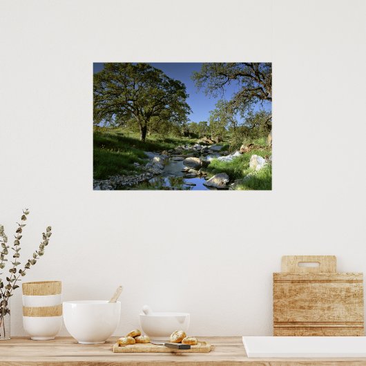 Natuur activeren poster (Keuken)