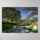 Natuur activeren poster (Voorkant)