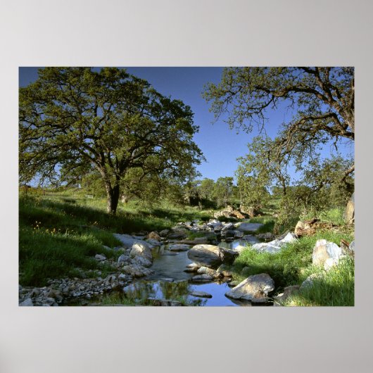 Natuur activeren poster (Voorkant)