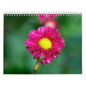Natuur agenda kalender (Hoes)
