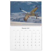 Natuur agenda kalender (Jan 2027)
