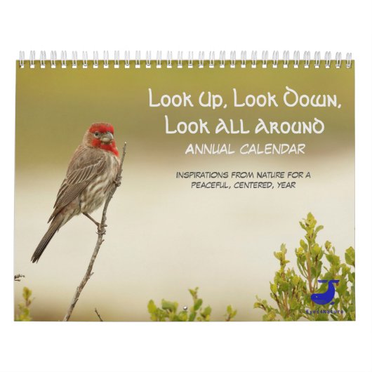 Natuur agenda: Kijk naar boven, kijk naar beneden, Kalender (Hoes)