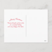 Natuur Alaska Denali Landschapsfoto Kerst Feestdagenkaart (Achterkant)