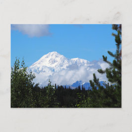 Natuur Alaska Denali Scenery Foto Briefkaart
