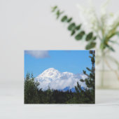 Natuur Alaska Denali Scenery Foto Briefkaart (Staand voorkant)