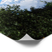 Natuur Alaska Denali Scenery Foto Poster (Hoek)