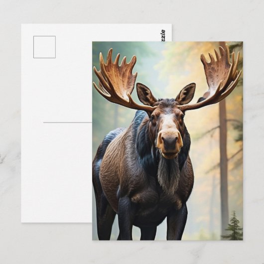 *~* Natuur AP49 MOOSE Bossen Forest Climb Mountain Briefkaart (Voorkant / Achterkant)