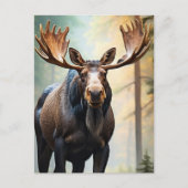 *~* Natuur AP49 MOOSE Bossen Forest Climb Mountain Briefkaart (Voorkant)