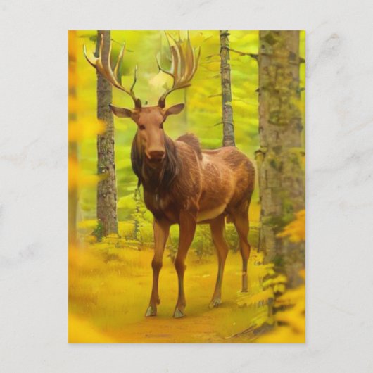 *~* Natuur AP49 MOOSE Bossen Forest Herfst Geel Briefkaart (Voorkant)
