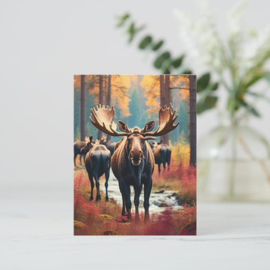 *~* Natuur AP49 MOOSE Forest PINES STREAM Briefkaart (Staand voorkant)