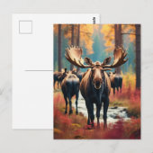 *~* Natuur AP49 MOOSE Forest PINES STREAM Briefkaart (Voorkant / Achterkant)