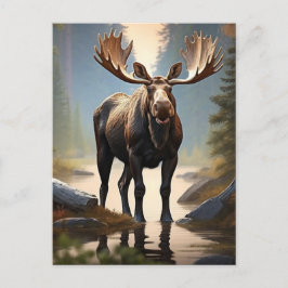 *~* Natuur AP49 MOOSE Forest STREAM Bossen Briefkaart