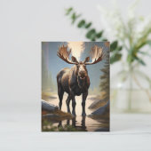 *~* Natuur AP49 MOOSE Forest STREAM Bossen Briefkaart (Staand voorkant)