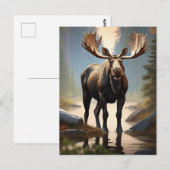 *~* Natuur AP49 MOOSE Forest STREAM Bossen Briefkaart (Voorkant / Achterkant)