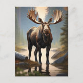 *~* Natuur AP49 MOOSE Forest STREAM Bossen Briefkaart (Voorkant)