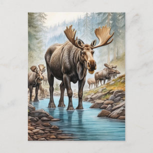 *~* Natuur AP49 MOOSE HERD Forest STREAM Briefkaart