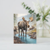 *~* Natuur AP49 MOOSE HERD Forest STREAM Briefkaart (Staand voorkant)