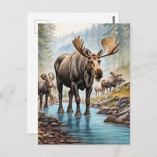 *~* Natuur AP49 MOOSE HERD Forest STREAM Briefkaart (Voorkant / Achterkant)