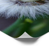 Natuur&apos;s zon poster (Hoek)