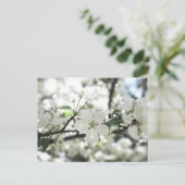 Natuur Apple Blossom Spring Tree Briefkaart (Staand voorkant)