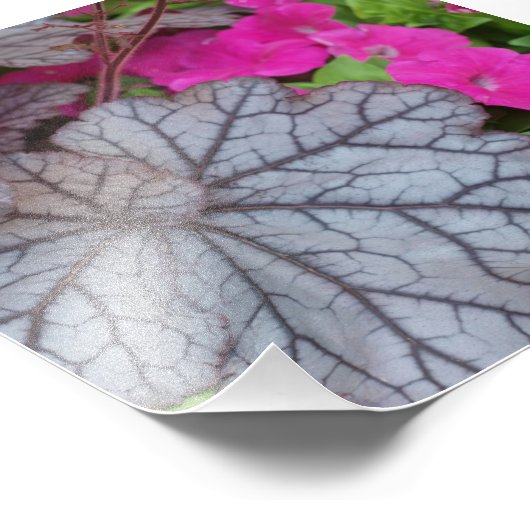 Natuur Art. Foto Afdruk (Hoek)