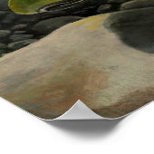 Natuur Art Poster Coho Salmon Vist Art Print (Hoek)