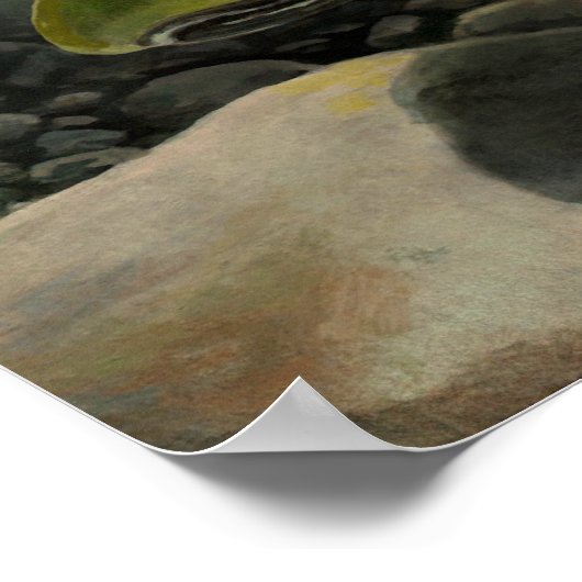 Natuur Art Poster Coho Salmon Vist Art Print (Hoek)