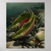 Natuur Art Poster Coho Salmon Vist Art Print (Voorkant)