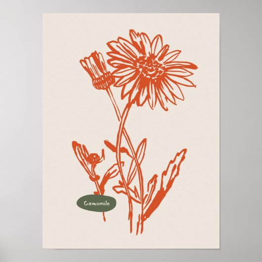 Natuur Art poster collectie (Voorkant)