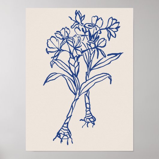 Natuur Art poster collectie (Voorkant)