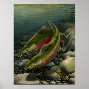 Natuur Art Prints Coho Salmon Vist Art Print