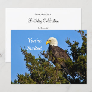 Natuur Bald Eagle Wildlife Foto van Birthday Kaart